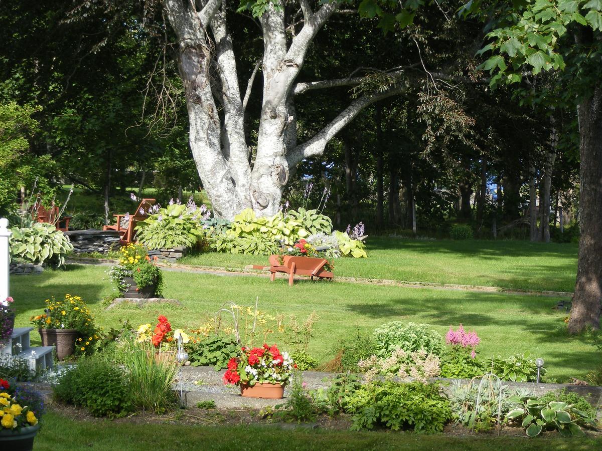 Rothesay House Heritage Inn B&B Harbour Grace Exteriér fotografie