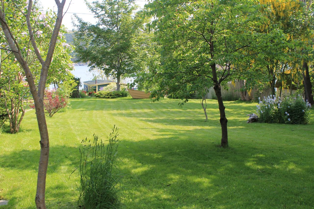 Rothesay House Heritage Inn B&B Harbour Grace Exteriér fotografie